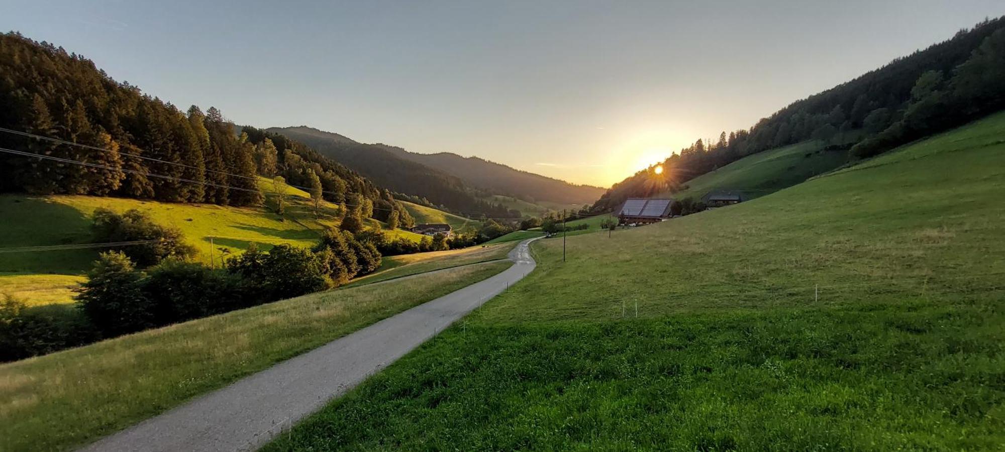 Irgendwo Im Schwarzwald Apartamento Elzach Exterior foto